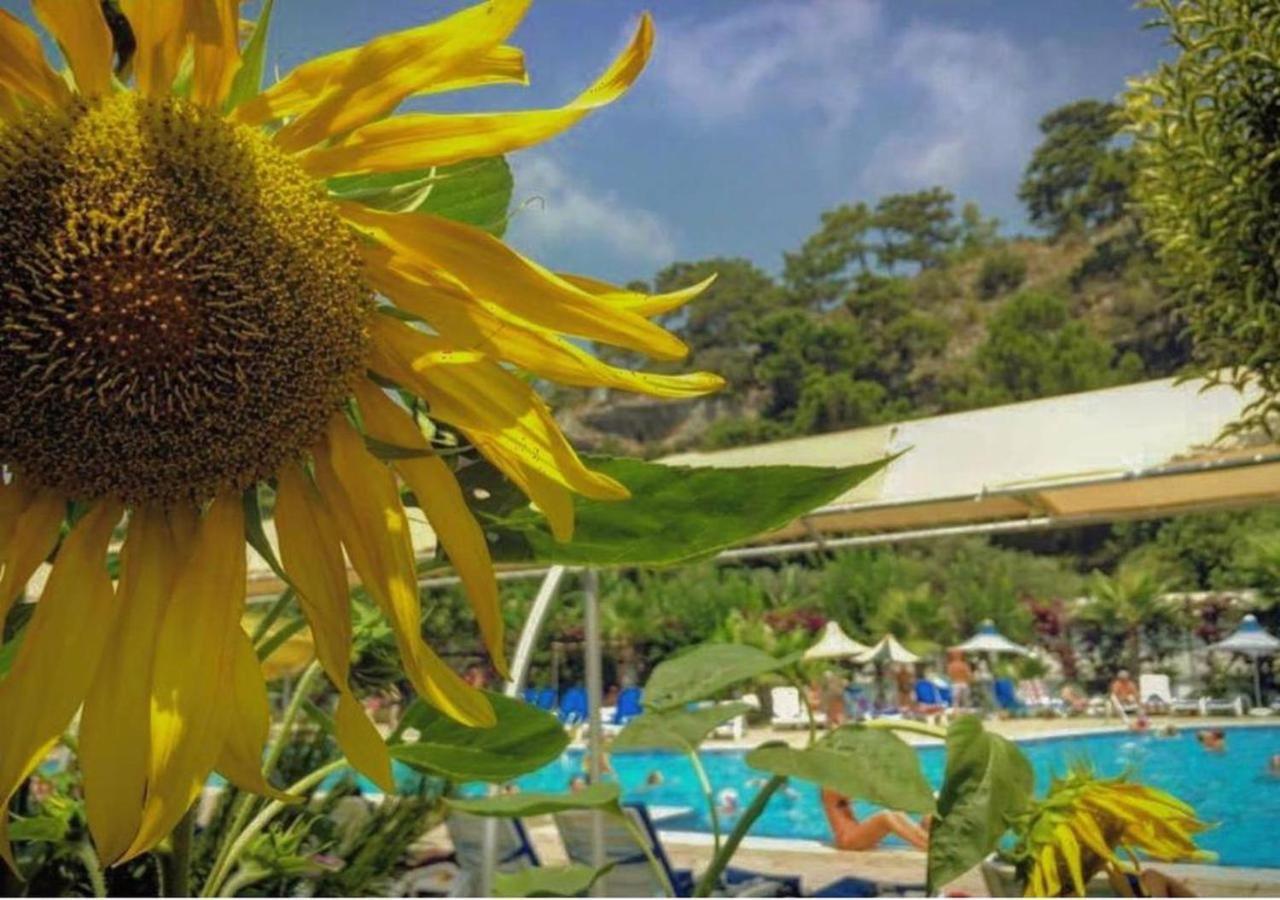 Golden Sunset Hotel&Spa Kemer Zewnętrze zdjęcie A view of the pool at the hotel